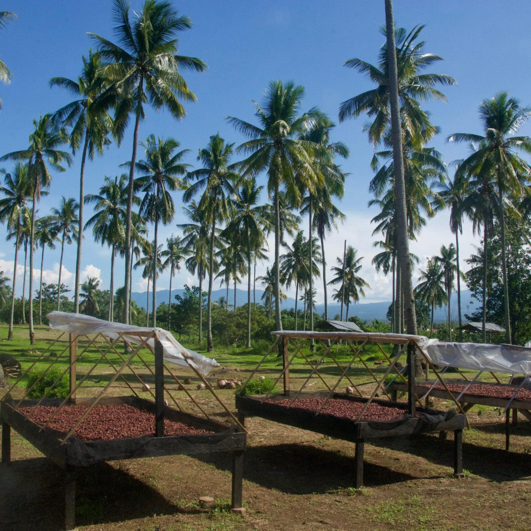 70% Juodasis šokoladas Philippines Paquibato-BEANINGFUL-Misiule.lt