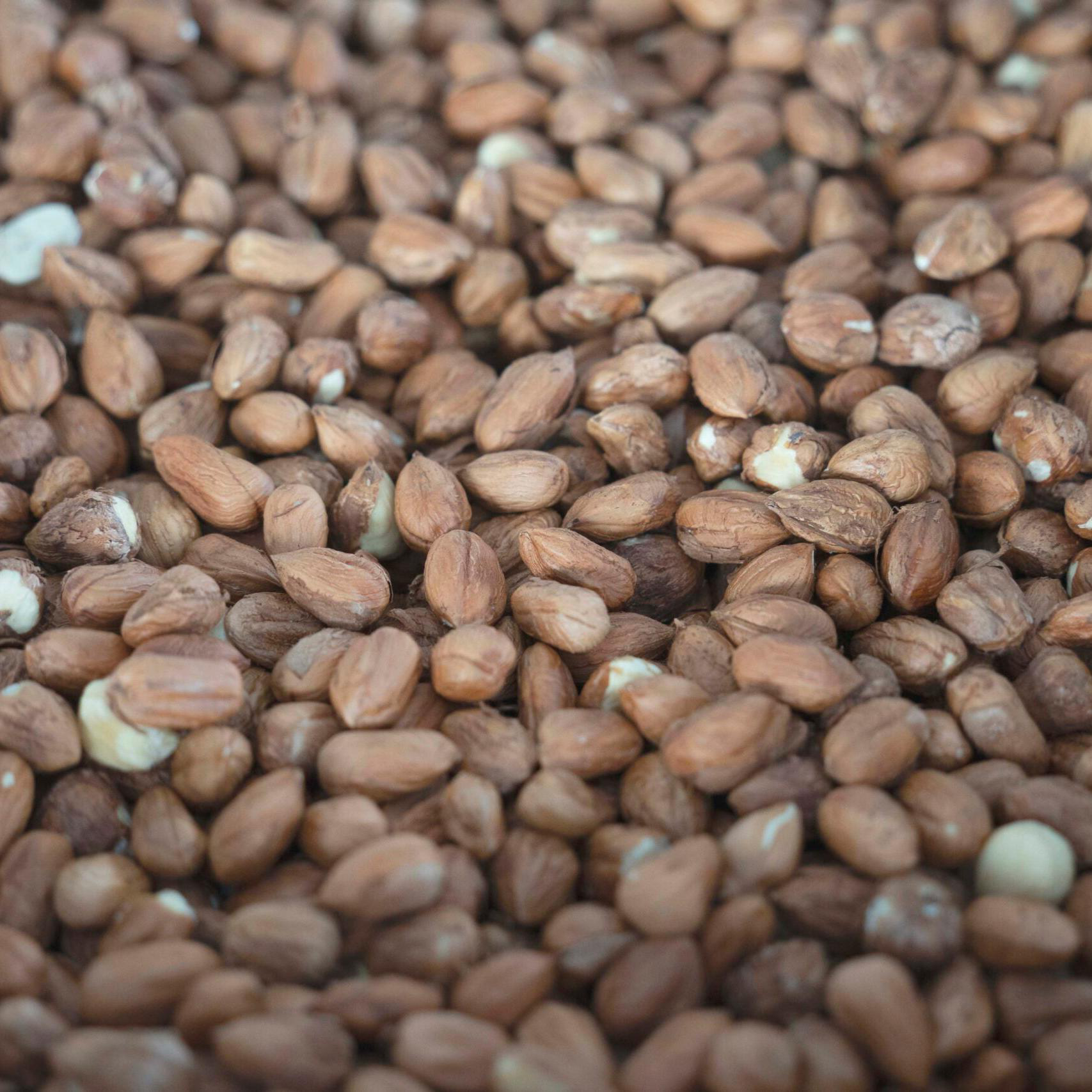 Lazdyno riešutų gianduja-BEANINGFUL-Misiule.lt