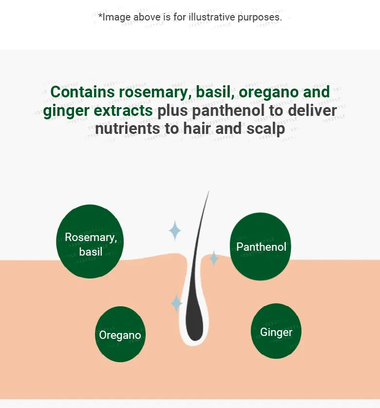 Rosemary Scalp Scrub - galvos odos šveitiklis, 165g