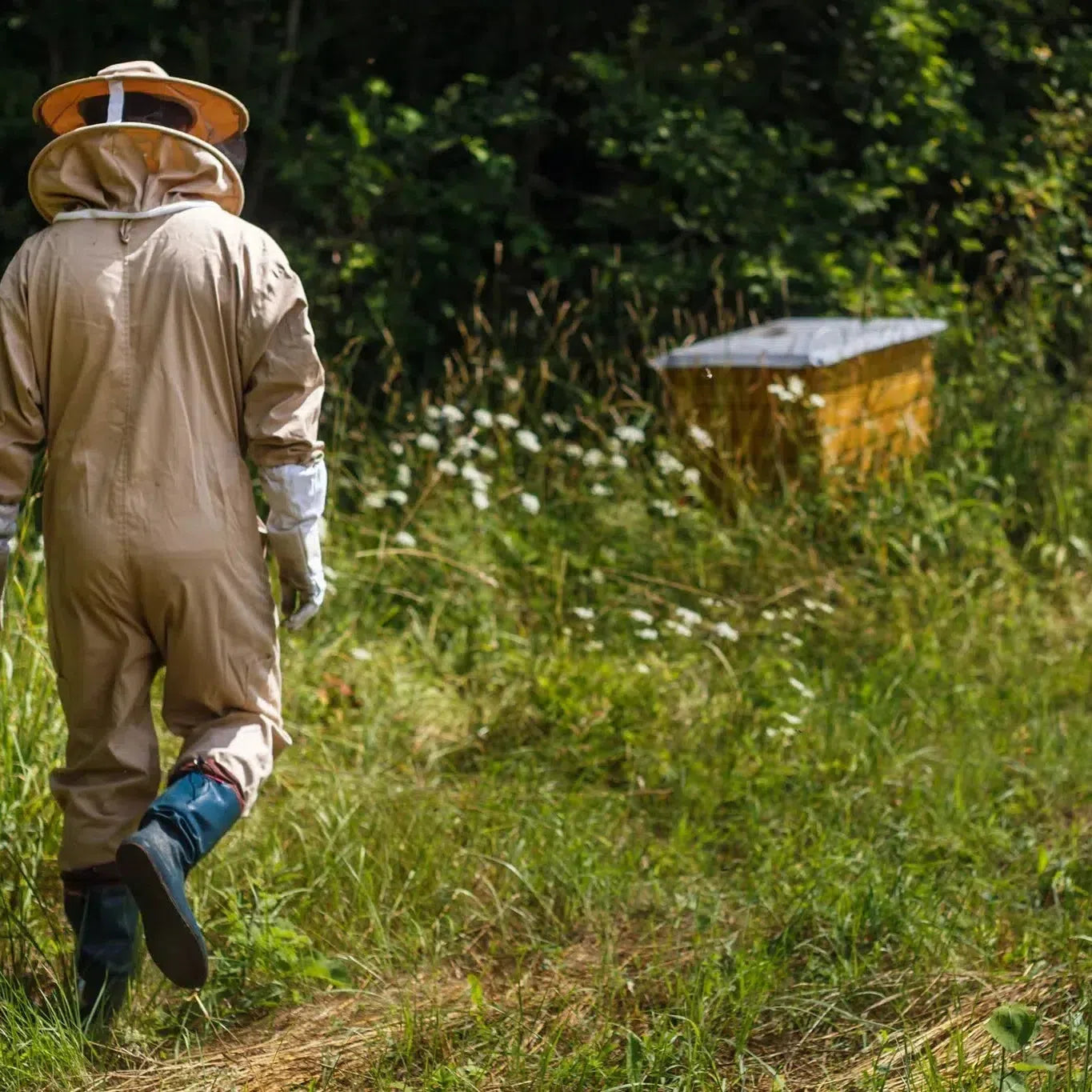 55% Tamsus pieniškas šokoladas su Grikiais ir Grikų Medumi-BEANINGFUL-Misiule.lt